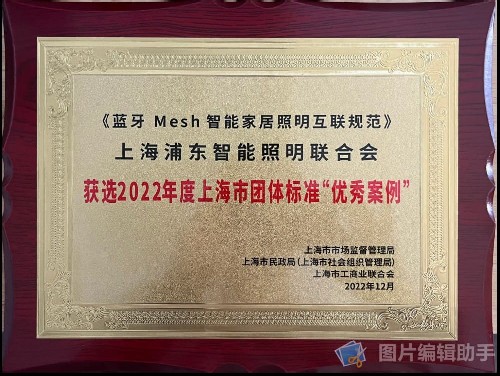 2022年度上海市团体标准经典案例——优秀案例（上海市证书）-003