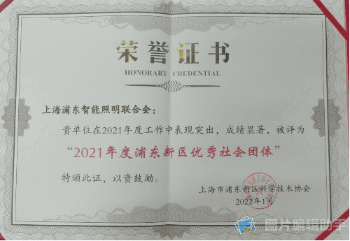 2021年度浦东新区优秀社会团体-013