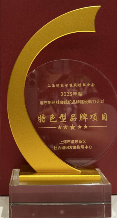 53-上海浦东智能照明联合会“一盏灯的守护”项目成功入选2025浦东社会组织品牌建设助力计划，喜获殊荣！