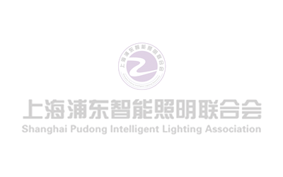 学党章、守纪律、践初心|上海浦东智能照明联合会党支部参与新兴领域党员“同上一堂党课”活动